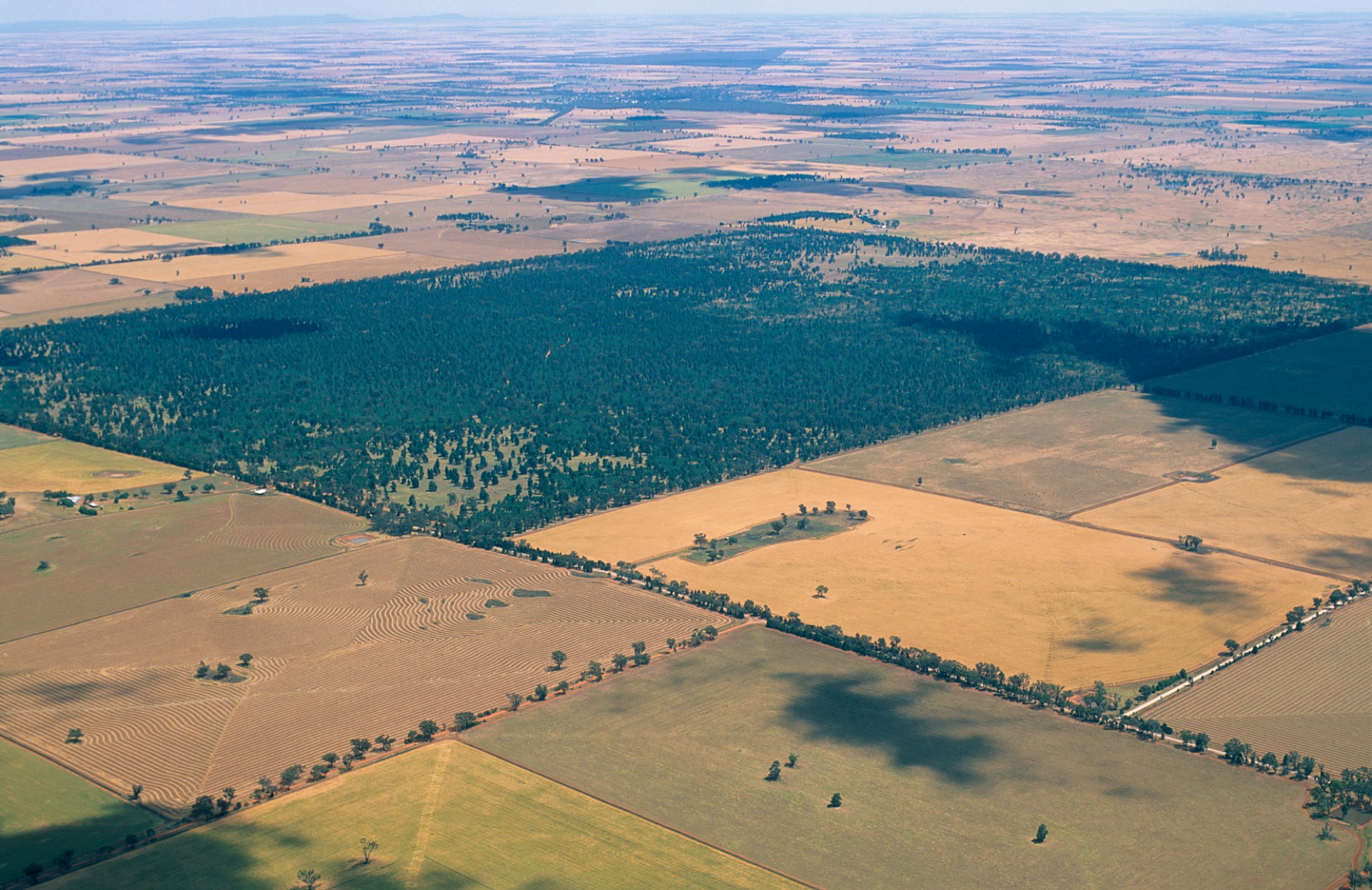 Aerial view of agricultural fields